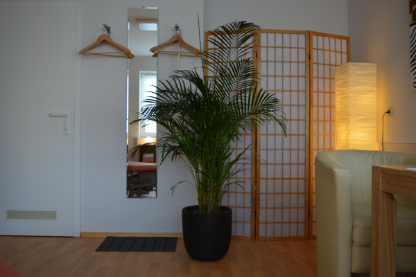 Viszerale Therapie